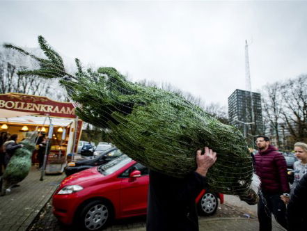Kerstbomen gaan nu al als warme broodjes over toonbank