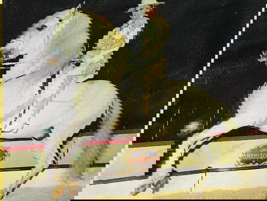 Nederlandse circusartiest wint Zilveren Clown