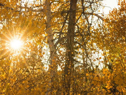 Het wordt een oudewijvenzomer