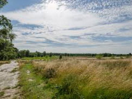 Burgemeester Pelzer van Bergen over Knikkerdorp en Nationaal Park Maasduinen