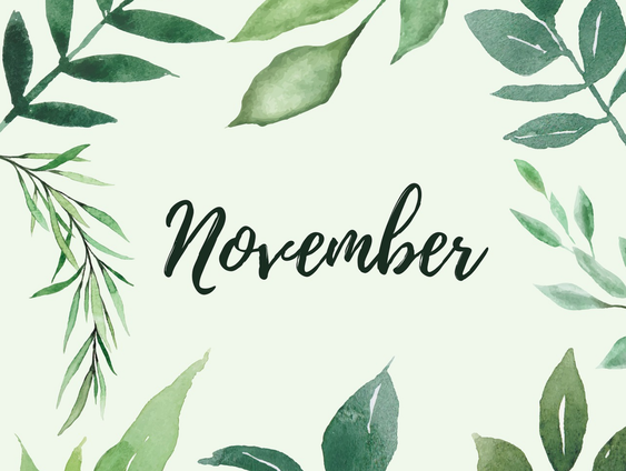 Is November de 11e of de 9e maand?