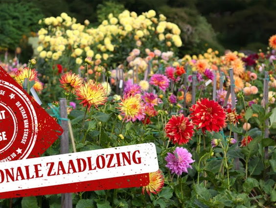 De Nationale Zaadlozing