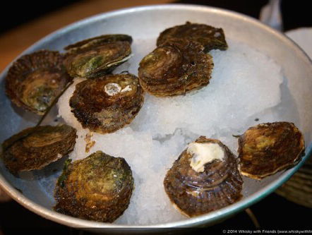 Een mini-college over oesters met visbroer Luuk