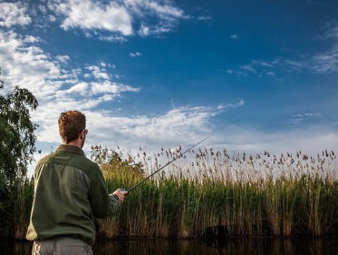 De Visma is jarig dit weekend!