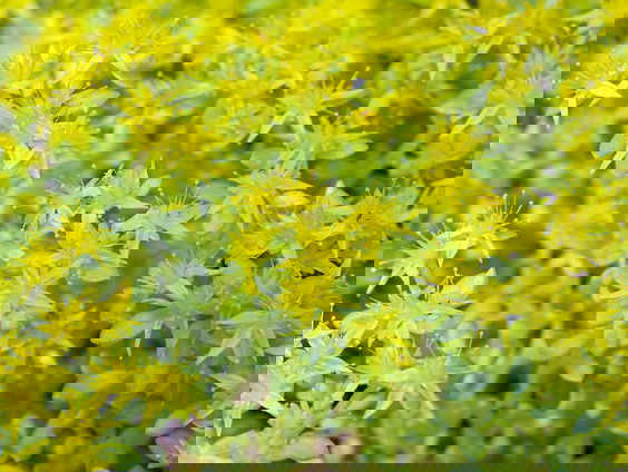 Vieze ruiten met een verhaal