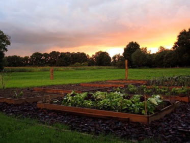 Te gast: Wim Kok, van manager bij KPN tot 'mister moestuin'