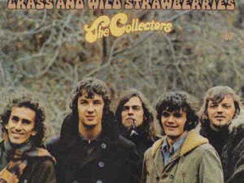 Sheep on the hill - The Collectors