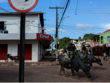 Politie zet de achtervolging in op waterbuffels