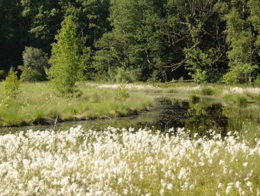 Martine Dubois verbaasd zich over de schoonheid van een heideven