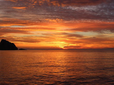 Dagsluiter - Sanne de Bree