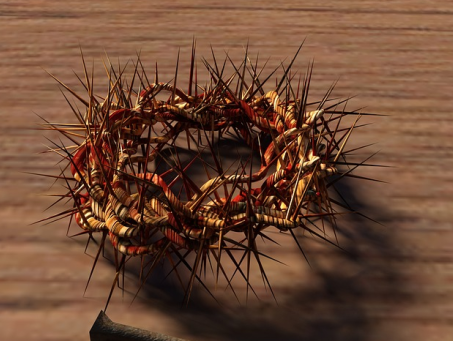 De echte doornenkroon?
