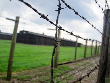 Kees van Velzen over de Holocaust