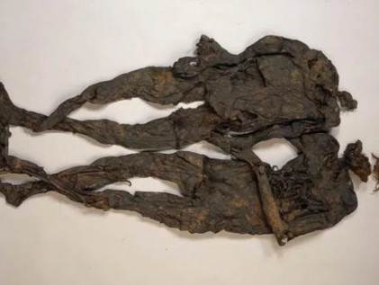 Mensenoffers in Nederland?