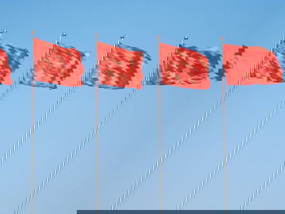 Report Camille: Hoe herken je een redvlag?