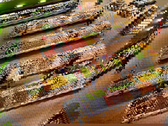 Report Camille: Kennen wij onze rechten wel op de werkvloer?