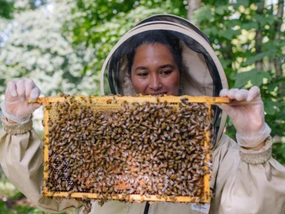 Imker Nina: ''Als zij dood is, dan houdt het op!''