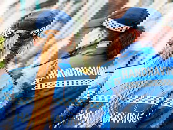 Report Camille: Moeten boa's zich neutraal kleden tijdens werk?