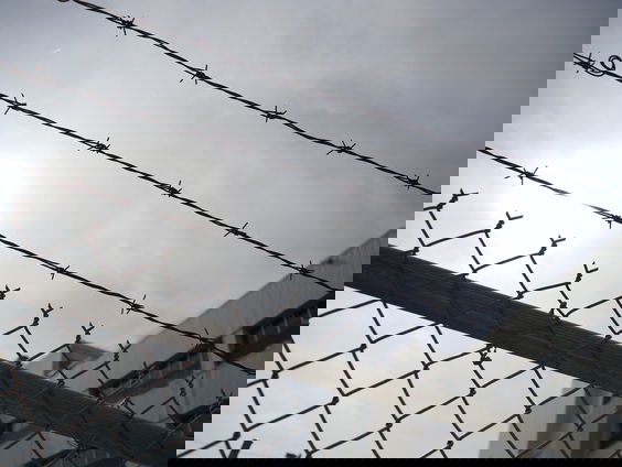 Report Camille: "Jongeren krijgen steeds vaker celstraf opgelegd"