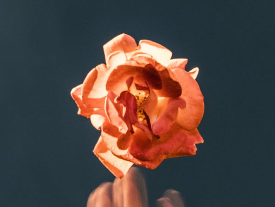 Had de moord op de Utrechtse Laura voorkomen kunnen worden?