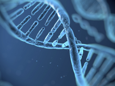 Nikolai legde zijn liefdesleven in de handen van de wetenschap, en is al 9 maanden gelukkig getrouwd