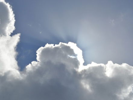 Zo stuur jij wat je in je droom doet