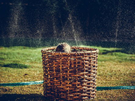 Shit. Het Zwols kampioenschap verstoppen gaat niet door.