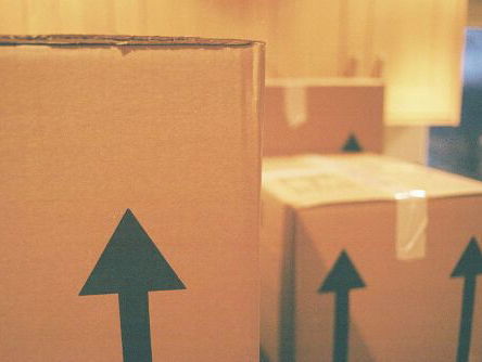 Bang om samen te wonen? Just do it! (reacties dating dilemma)