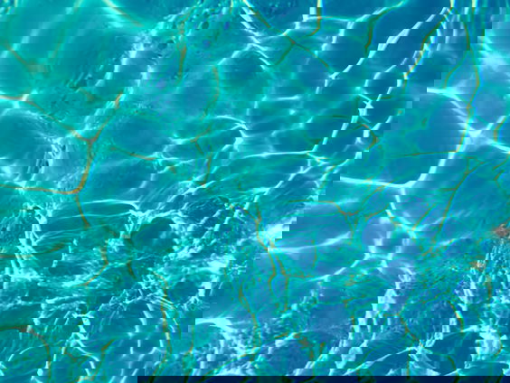 Strijder van de Week: "Ik werk altijd in 45 graden"