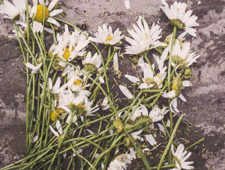 Rapper Feis overleden: dit is waarom we hem niet moeten vergeten