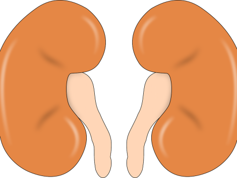 Hele moeilijke keuze; sterven of illegaal een nier kopen?