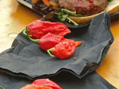 Vanessa vs. Jeansen in 'De heetste hamburger challenge'