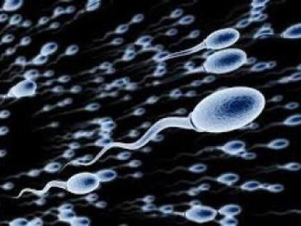 Oh nee! De spermakwaliteit van mannen gaat achteruit!