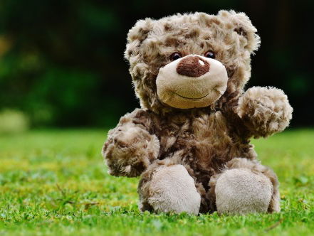 Knuffel inzamelactie voor Geert Wilders op Valentijnsdag!