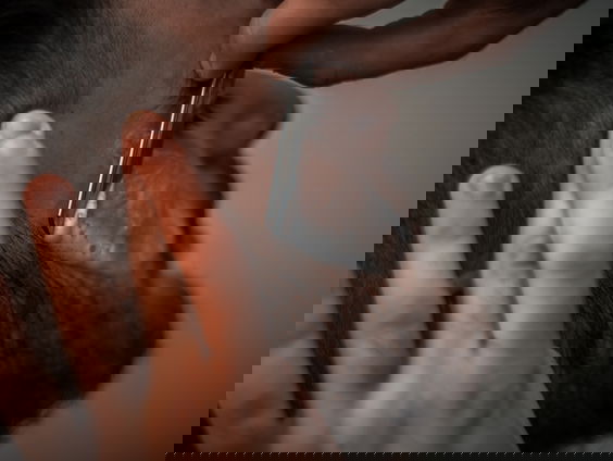 Jimmy: "Je moet van goede huize komen om deze pijn te verdragen."