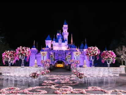 De nieuwe streamingsdienst Disney+ wordt waarschijnlijk eerst in Nederland uitgebracht!