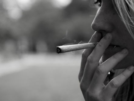 Gratis jonko en dure sushi: de beste reviews over coffeeshops!