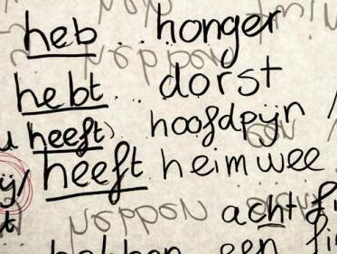 Taalexpert legt de Nederlandse taal uit: "Het is hij wil en niet hij wilt"