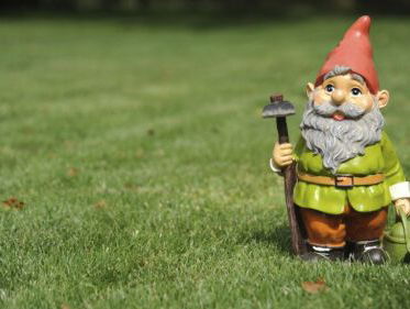 WAAROM DAN?? "Kabouter-editie"