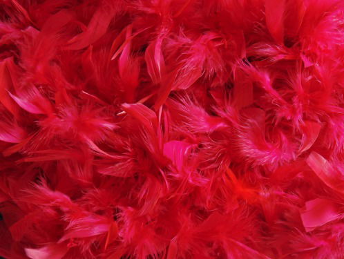 Mahi Khalesi: "Kim Kardashian is haar eigen merk"