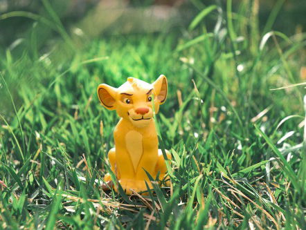 Tommie is de stem van Simba in de Nederlandse versie van The Lion King