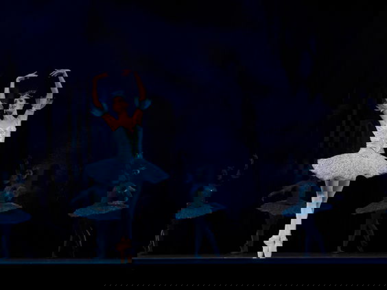 Reporter Marvin bezoekt het Zwanenmeer vanaf zijn laptop