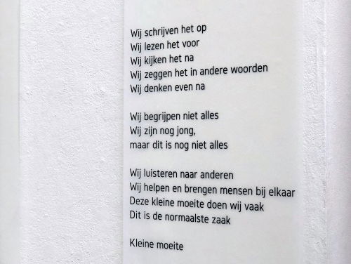 Meyrem vraagt met bijzonder project aandacht voor kinderen die vertalen voor hun ouders