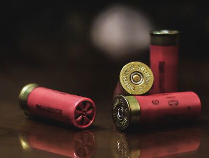 Waarom bestaat er een adoratie voor criminelen?