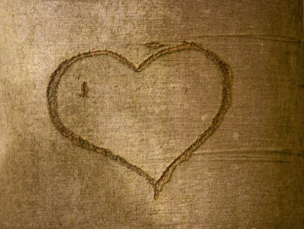 Wanneer is het juiste moment om de ouders te ontmoeten?