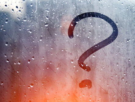 Moet offerfeest een officiële feestdag worden?