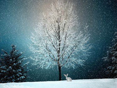 Wat te doen tegen de winterdip?