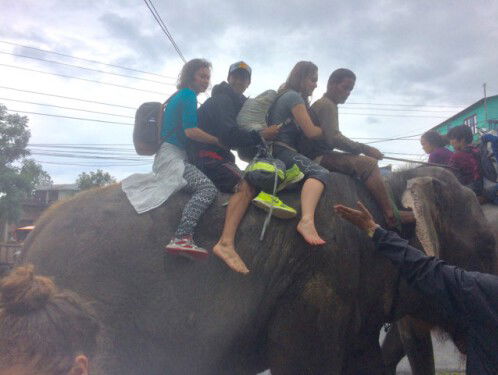 Romy: "Toen zijn we gevlucht op een olifant"
