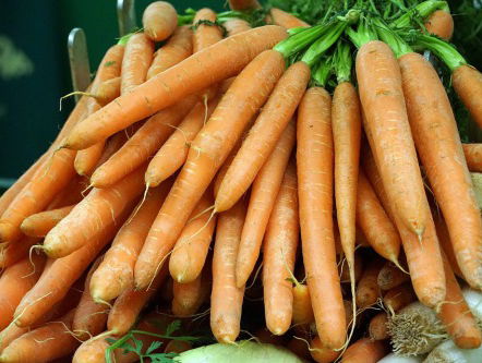 De zoektocht naar de "Carrot King" van Zwolle