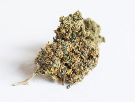 Medische wietexpert Ruben: met wietolie kan je prima koken!