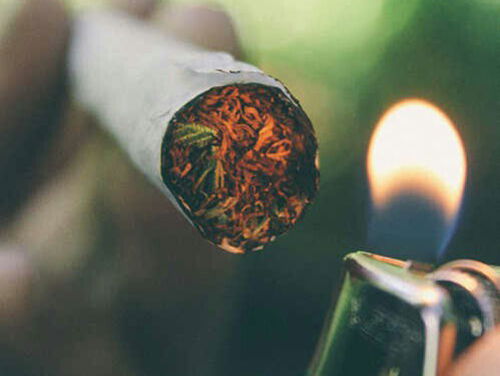 Welk gevoel krijg je bij welke wietsoort?